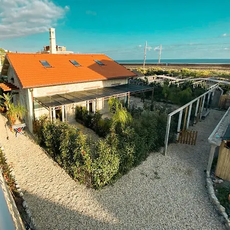 New Agriloft 4 Palms Clima, Giardino E Wi-fi A 50 Mt Dal Mare Apartment *